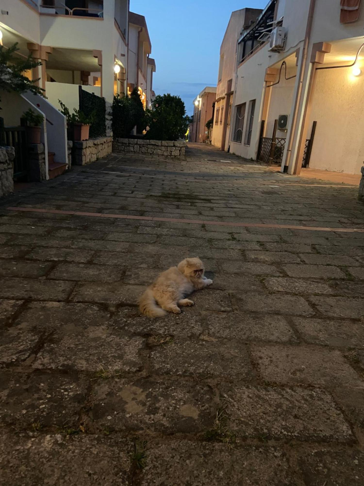 Club Esse Residence Capo D'Orso Палау Екстериор снимка